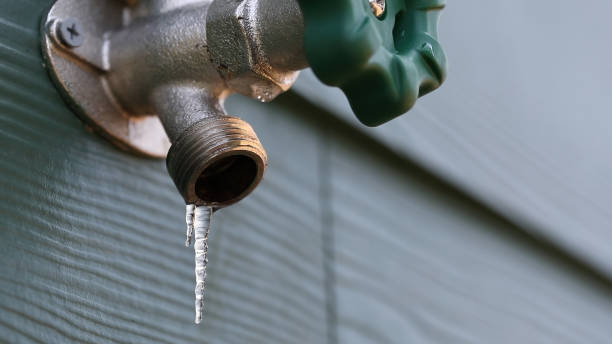 Best Local Plumber Services  in La Plata, MO